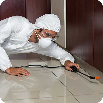 Pest control professional inspecting with tools.